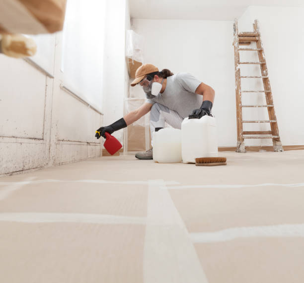 Best Basement Mold Removal  in Edwards, MS