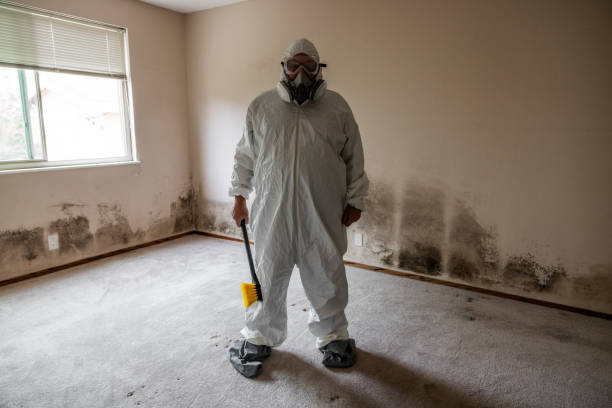 Best Mold Damage Restoration  in Edwards, MS